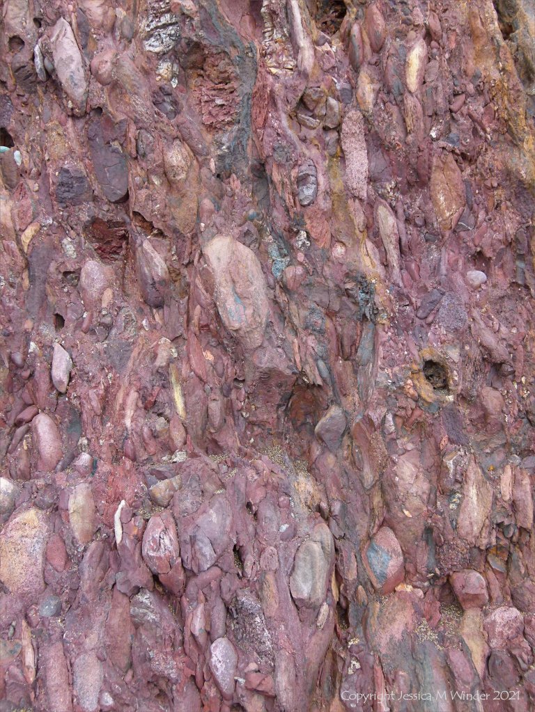Devonian conglomerate at Trabeg on Dingle in Ireland.