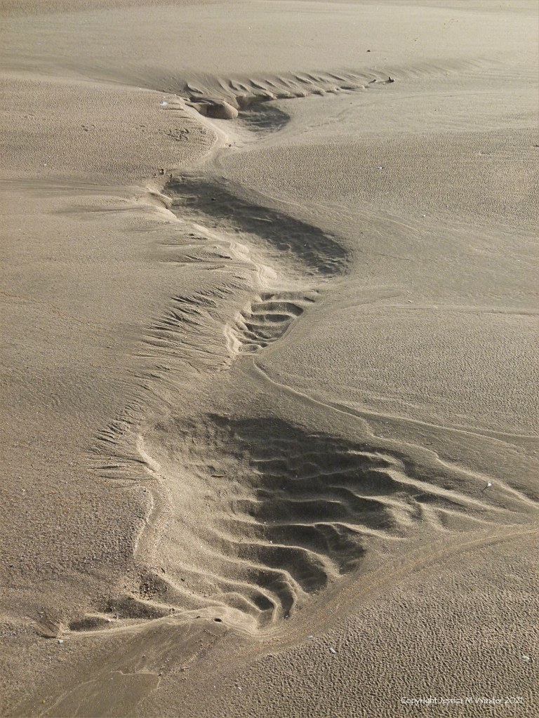 Asymmetrical sand ripple patterns on the beach