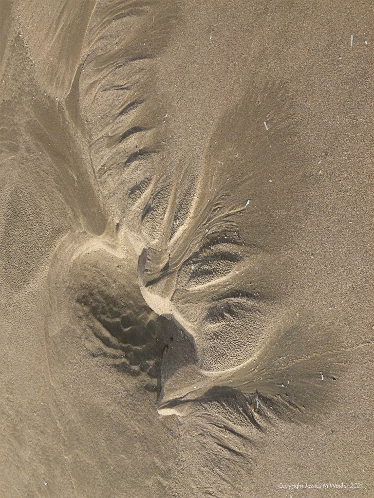 Asymmetrical sand ripple patterns on the beach