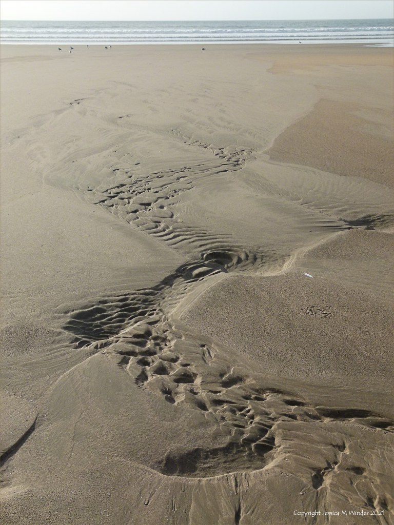 Asymmetrical sand ripple patterns on the beach