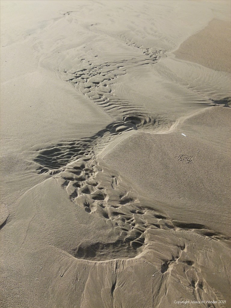 Asymmetrical sand ripple patterns on the beach