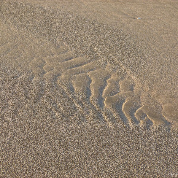 Natural abstract ripple patterns in the sand on a beach