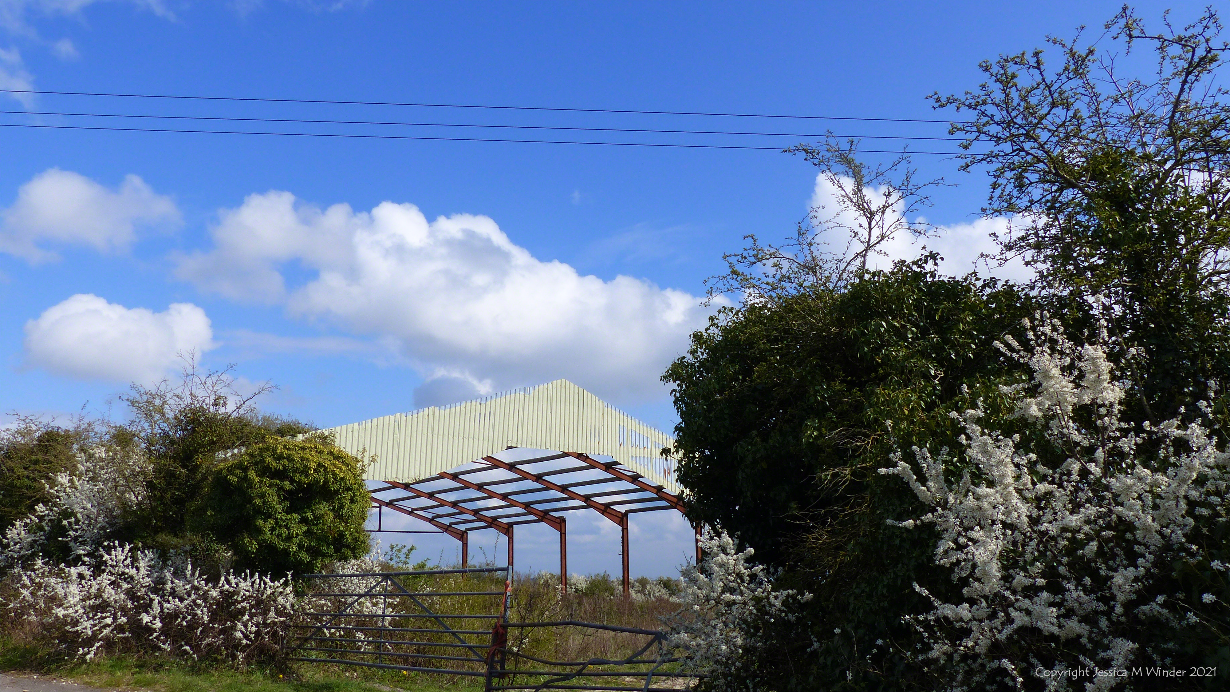 April Country Walk 1.1-8 – Jessica's Nature Blog