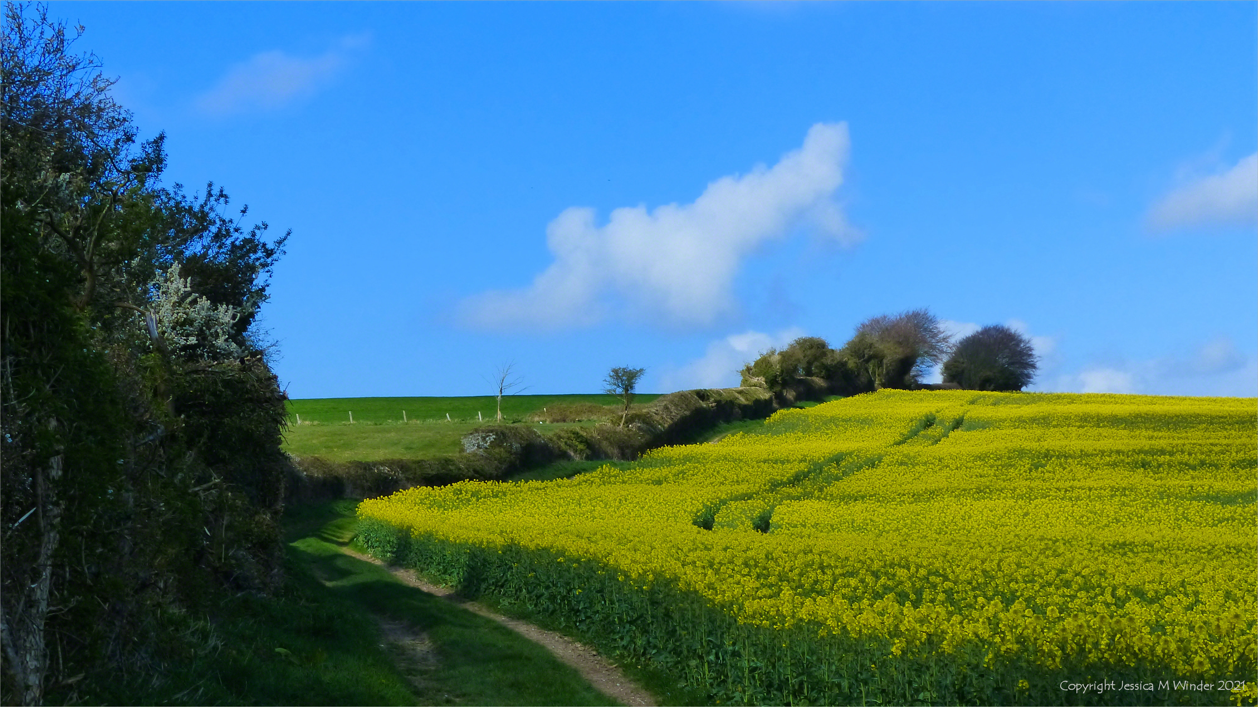 April Country Walk 1.9-16 – Jessica's Nature Blog