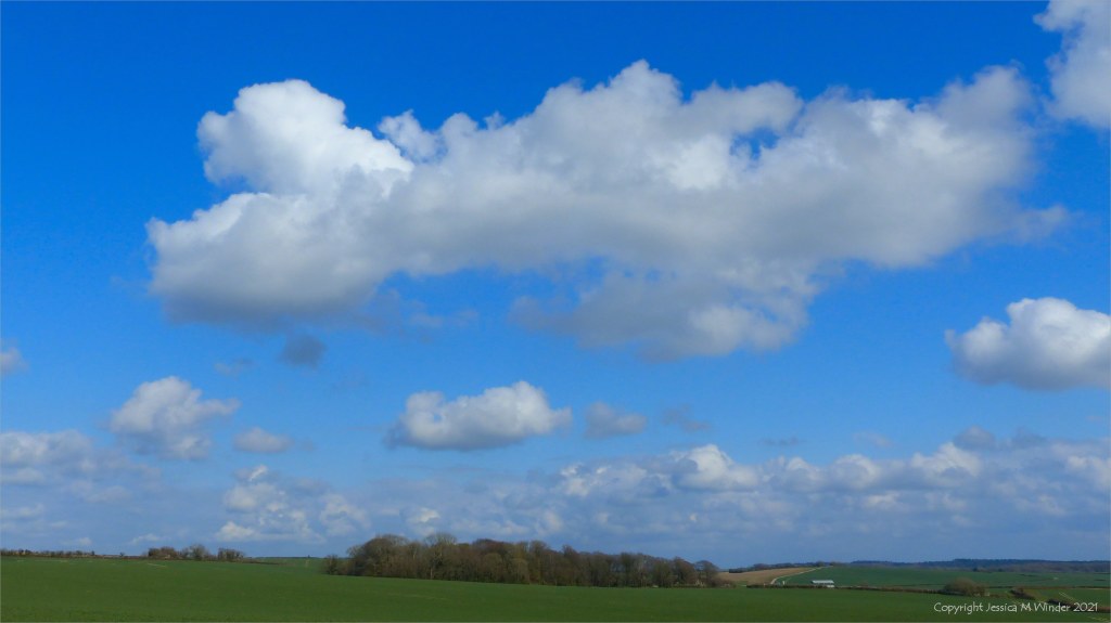 Fields, trees, blue sky and white clouds