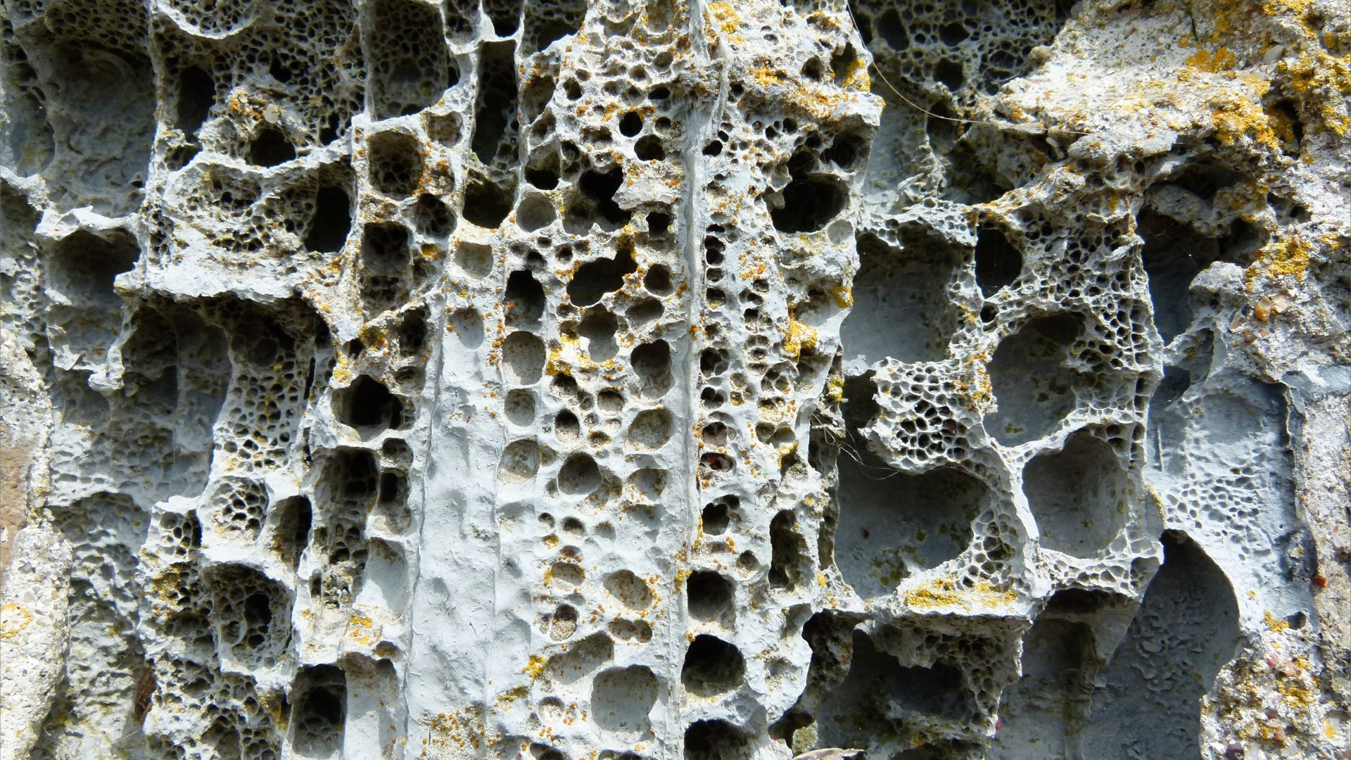 Sea wall rock with holes caused by weathering erosion