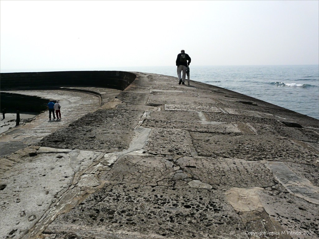 Blocks of rock with holes left by shell fossils on a sea wall.