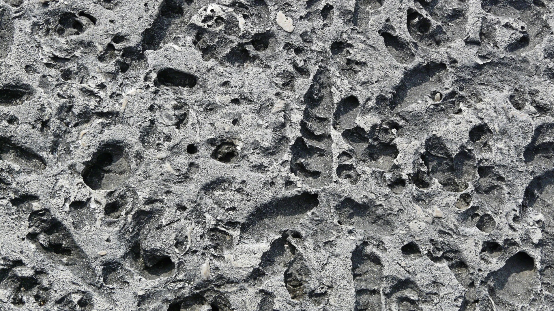 Close-up of a stone block in a sea wall with shaped holes left by erosion of shell fossils