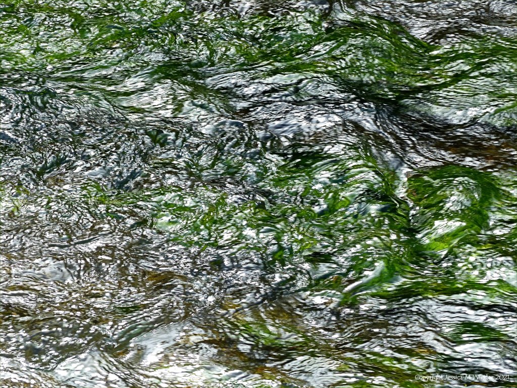 Texture of water flowing over Water Crowfoot in a river