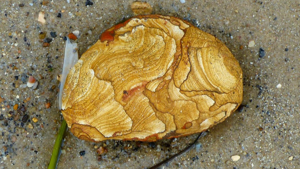 Beach stone with strange patterns on a sandy beach