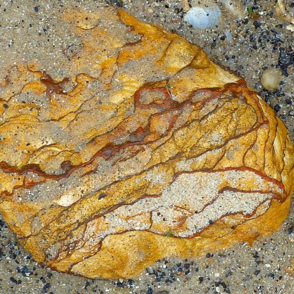 Beach stone with strange patterns on a sandy beach