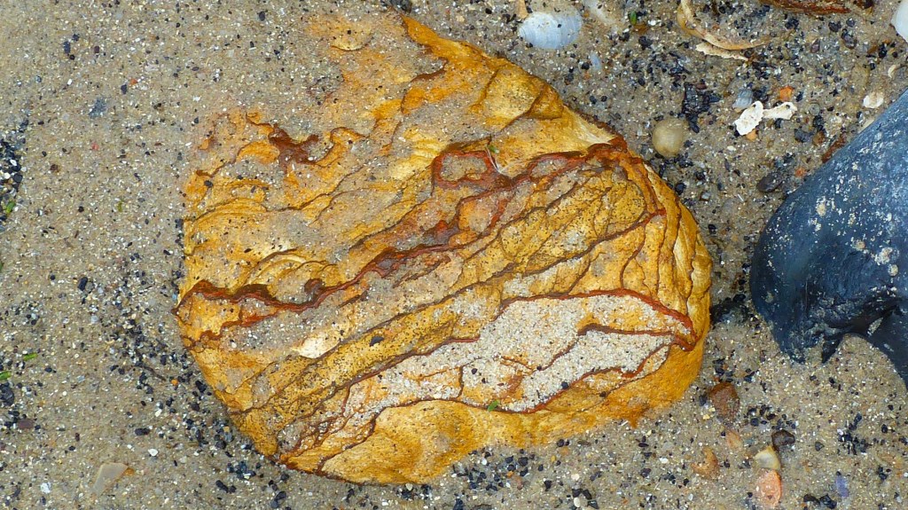 Beach stone with strange patterns on a sandy beach