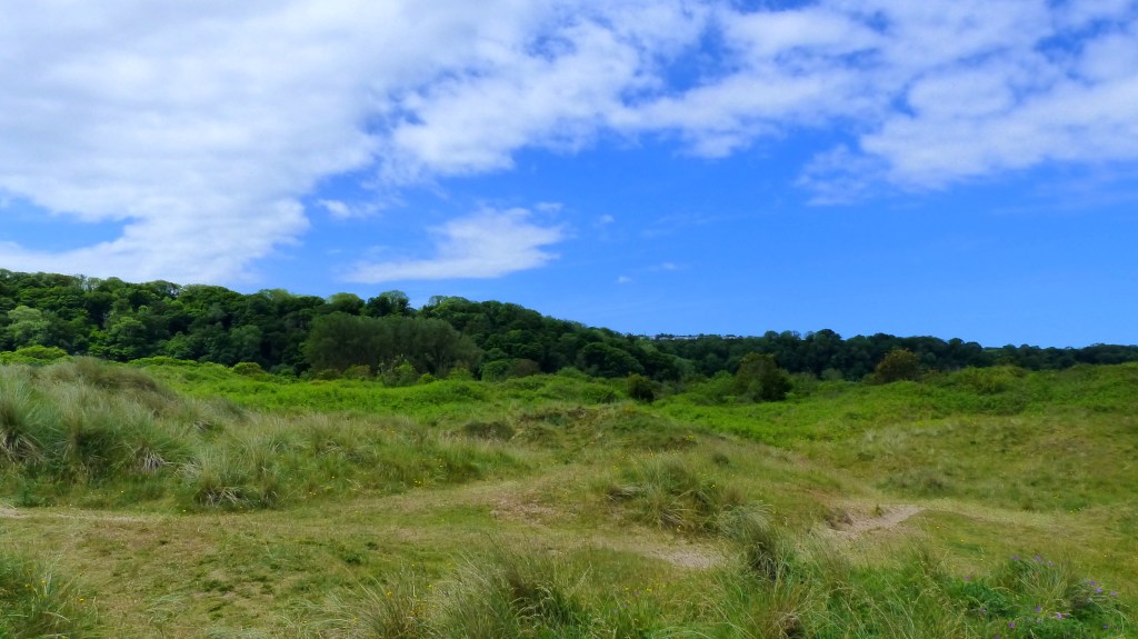 Dune grassland at Oxwich Bay with blue sky and clouds