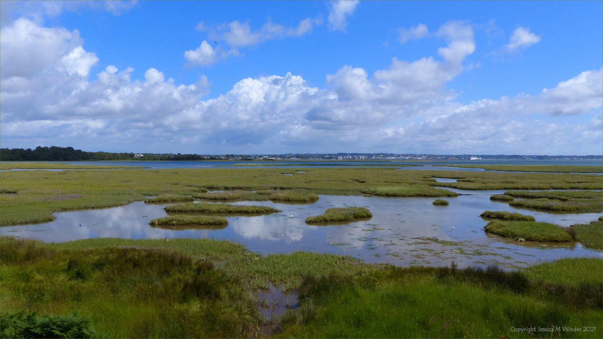 View of salt marsh on the edge of Poole Harbour in Dorset.