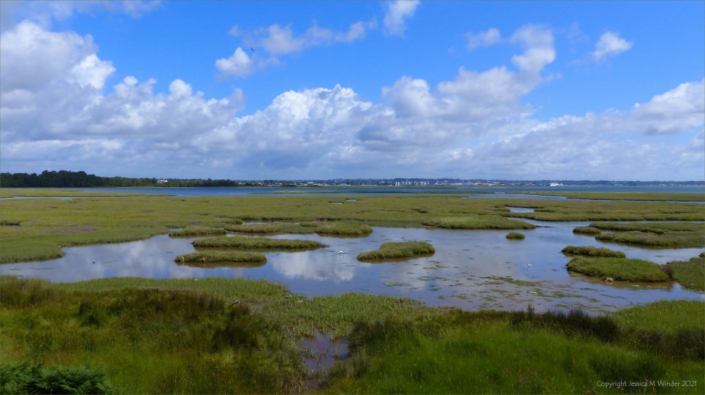View of salt marsh on the edge of Poole Harbour in Dorset.