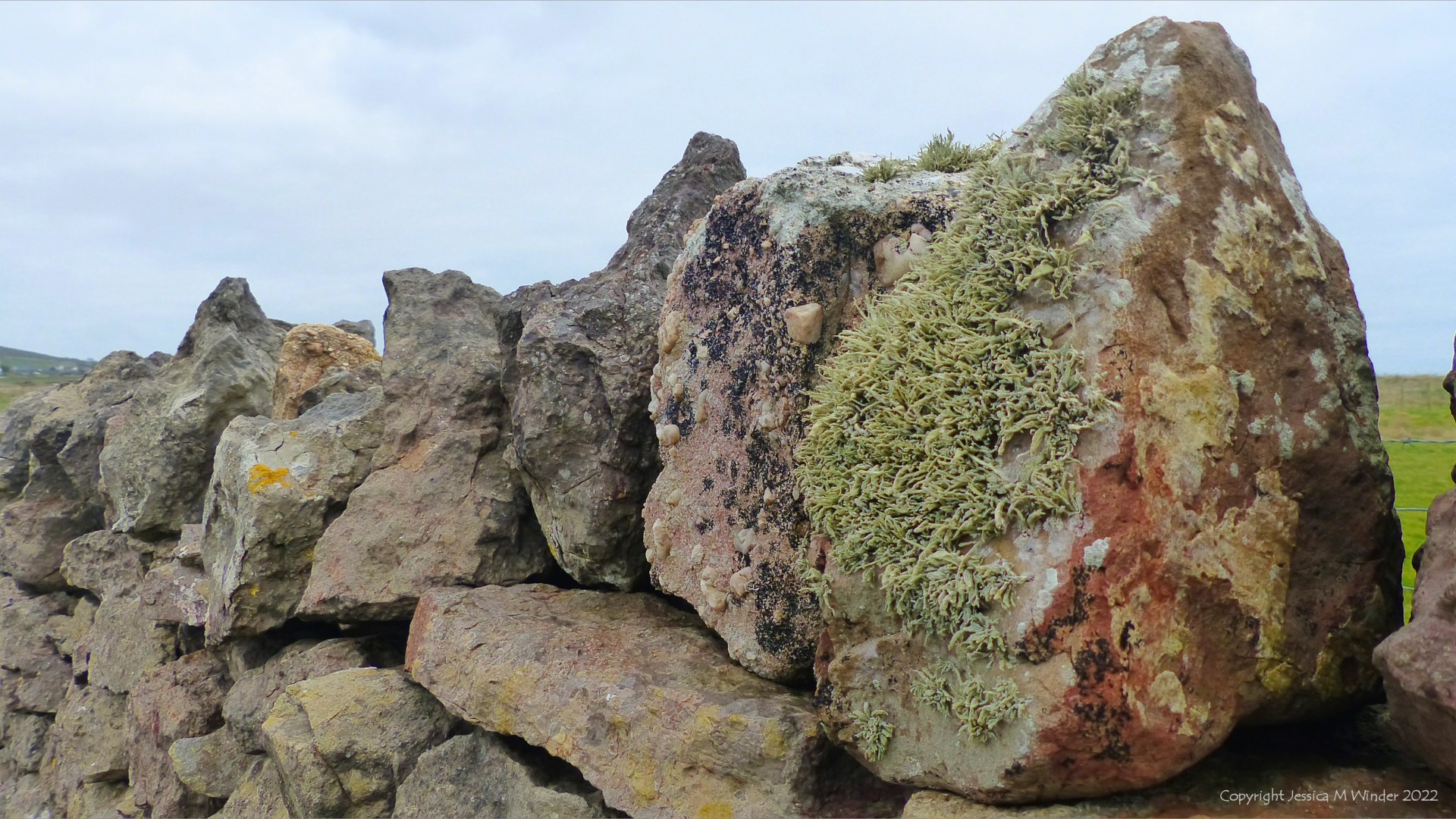 Rocks in a dry stone wall with lichen