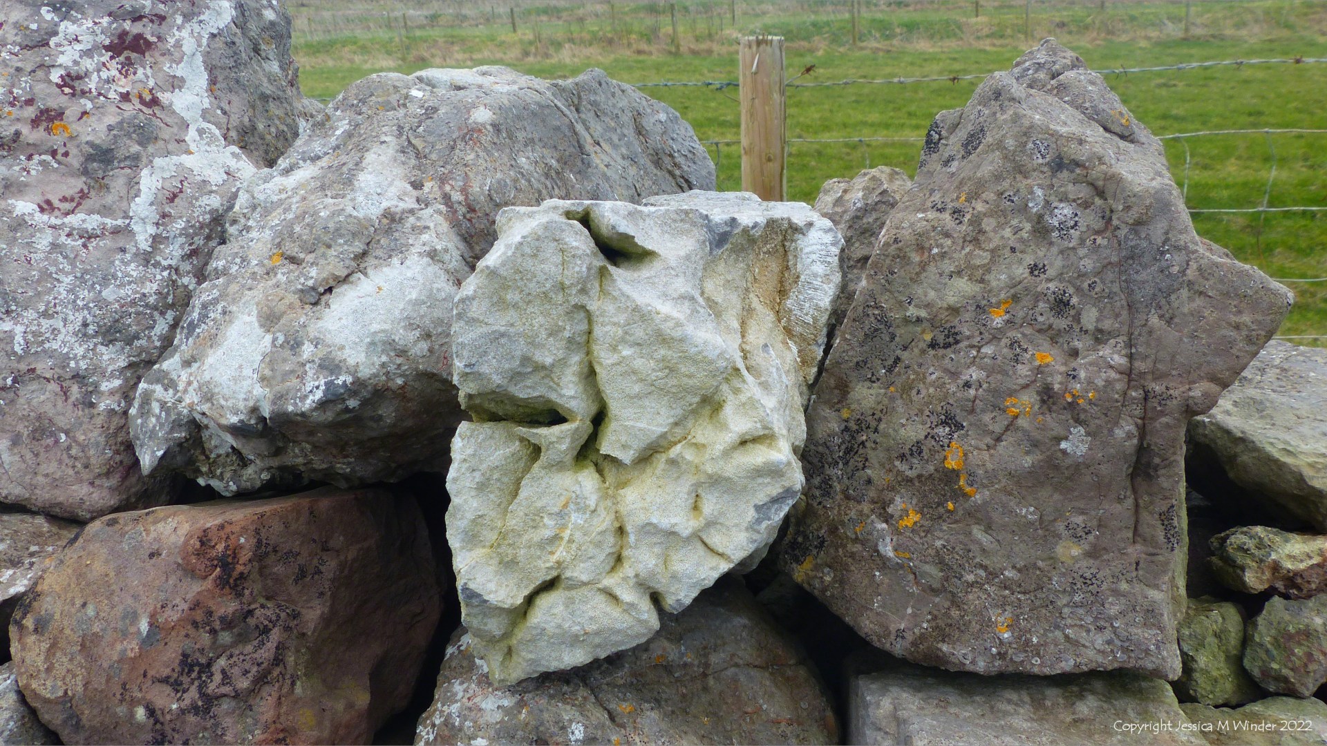 Detail of rocks in a drystone wall at Rhossili in Gower, South Wales.