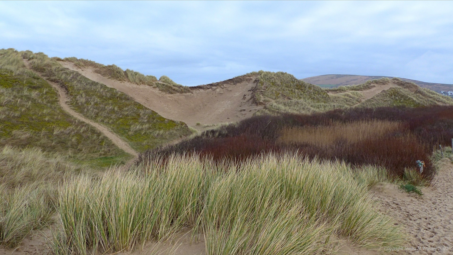 Stabilising sand dunes with varying specialised vegetation types