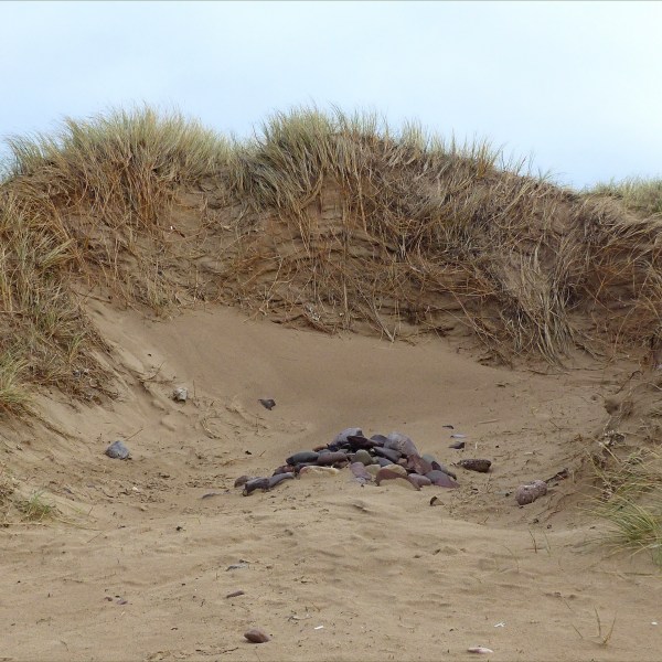 Eroding sand dunes with marram grass and pebbles