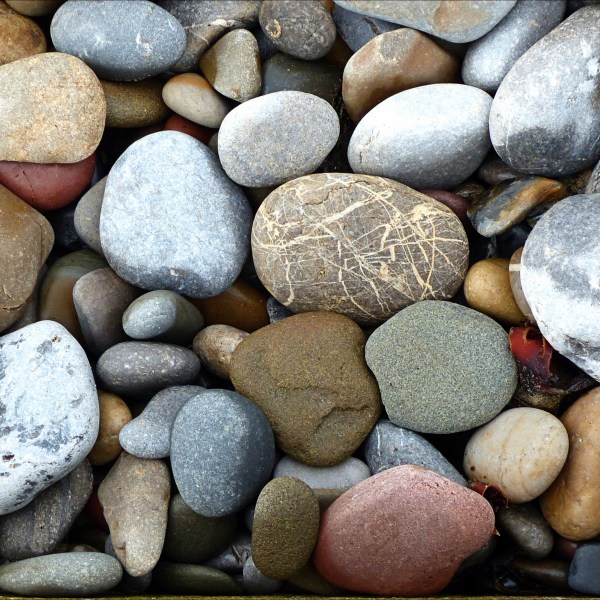 An assortment of pebbles on the seashore