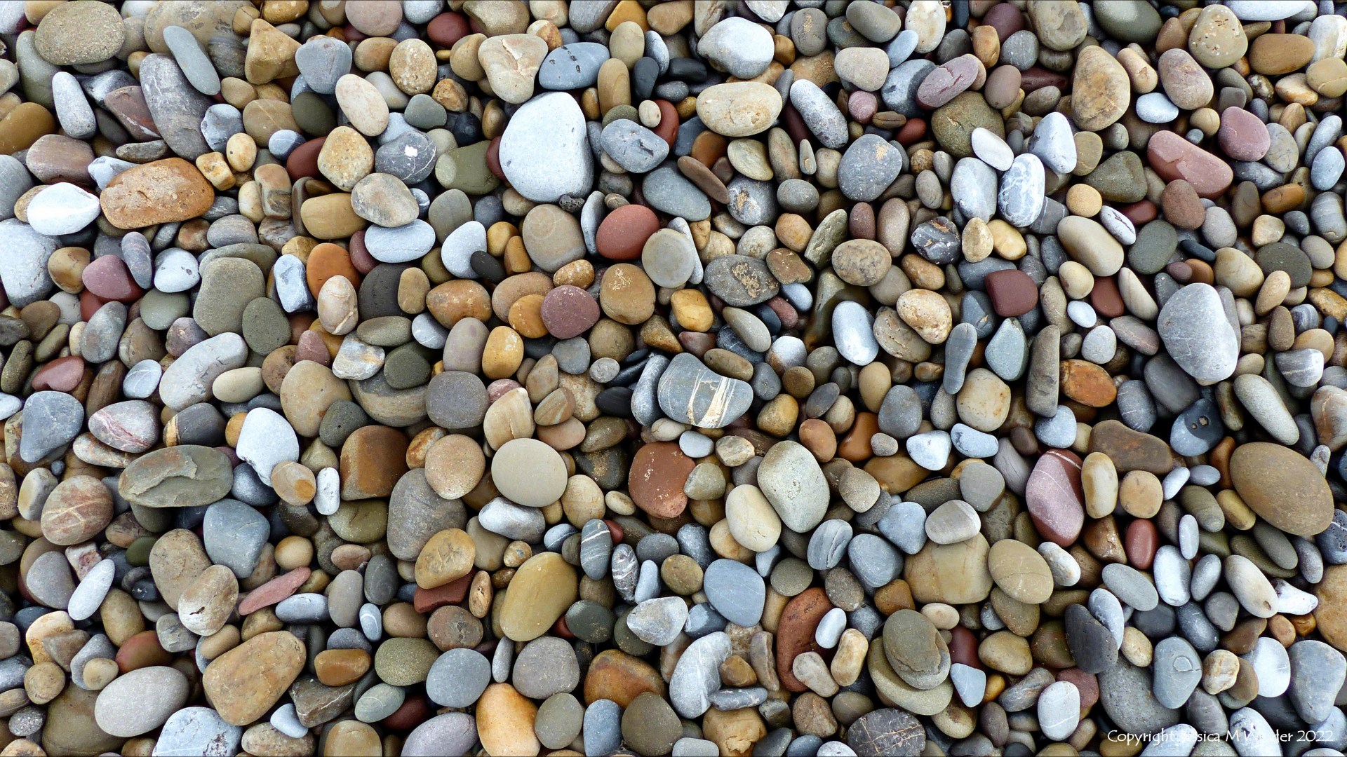 Pebbles of different coloured and rock types on the seashore