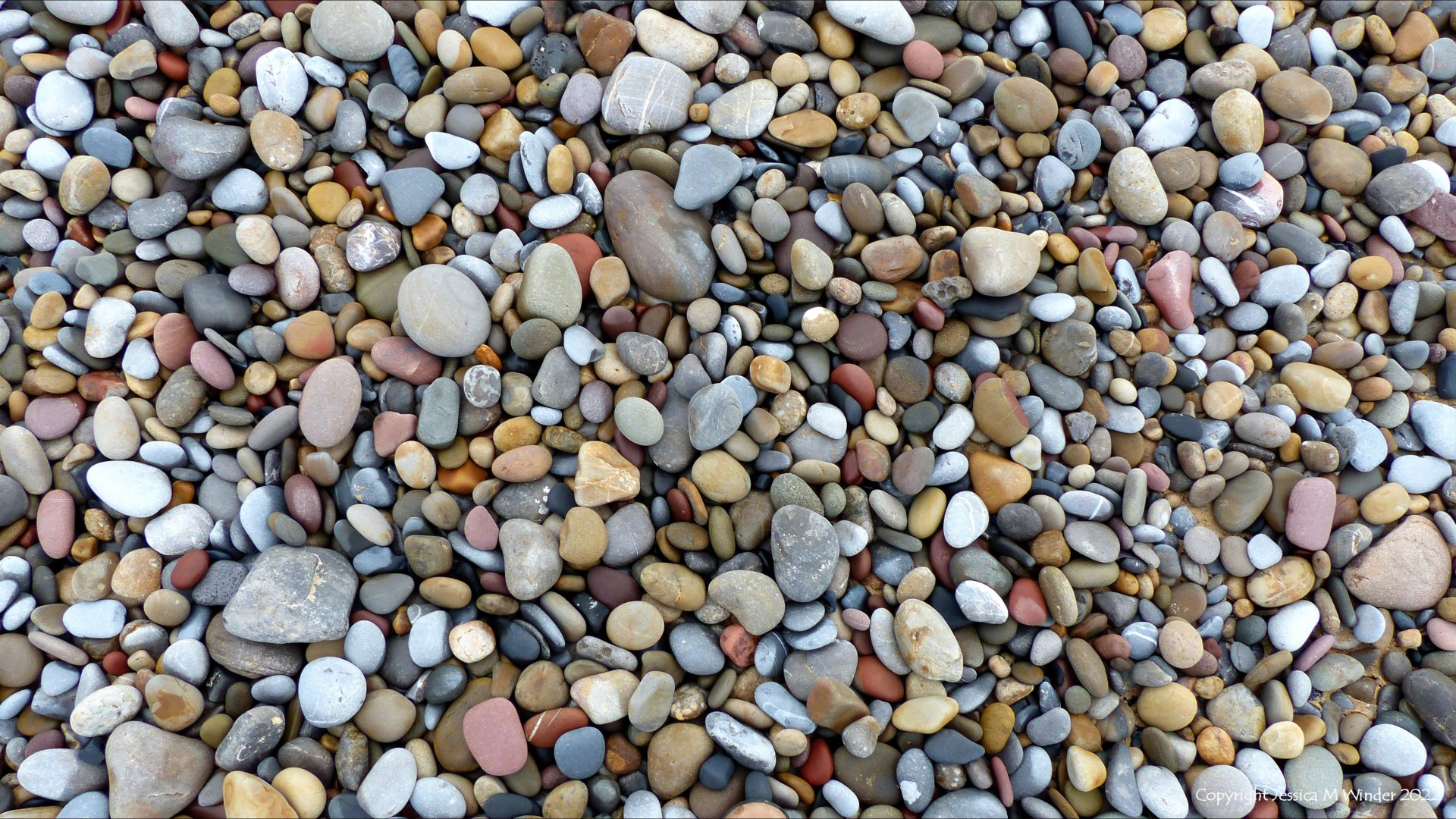 Pebbles of various colours, shapes, and rock types on the beach