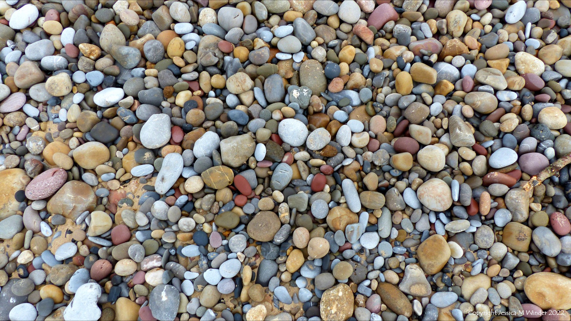 Pebbles of different colours and shapes on the beach