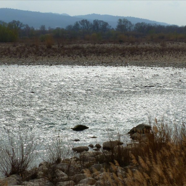 Landscape with riverbank vegetated pebbles, trees, and hills in the background on a dull early spring day