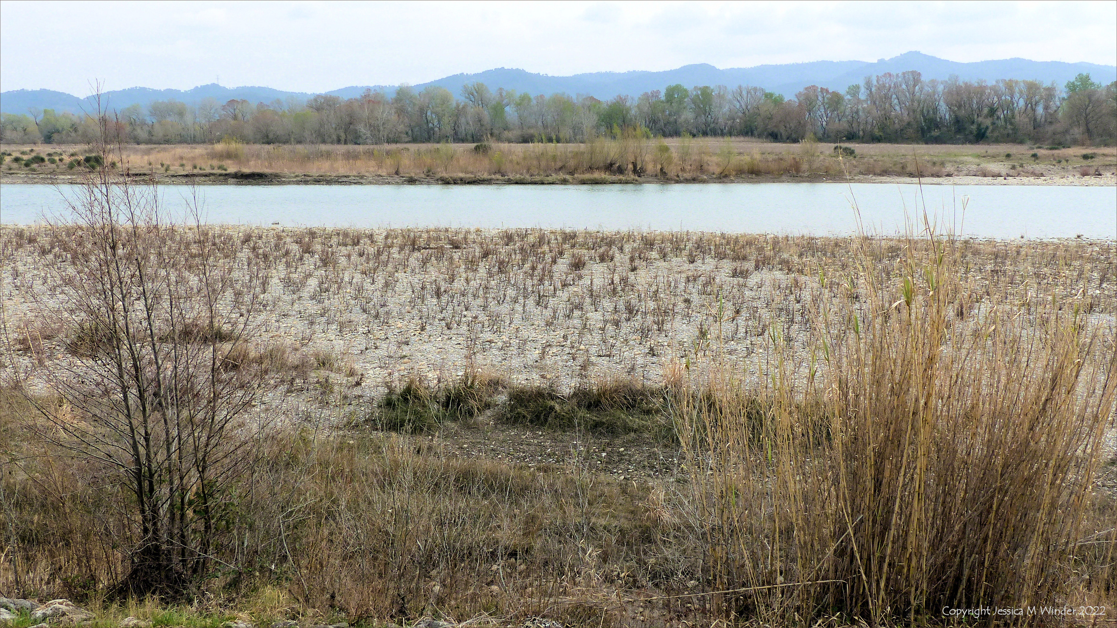 Partially vegetated pebbles on the riverbank of the Durance