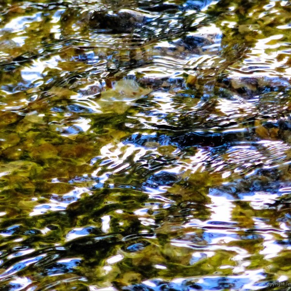 Abstract pattern of reflected light and leaves on the surface of a small flowing stream