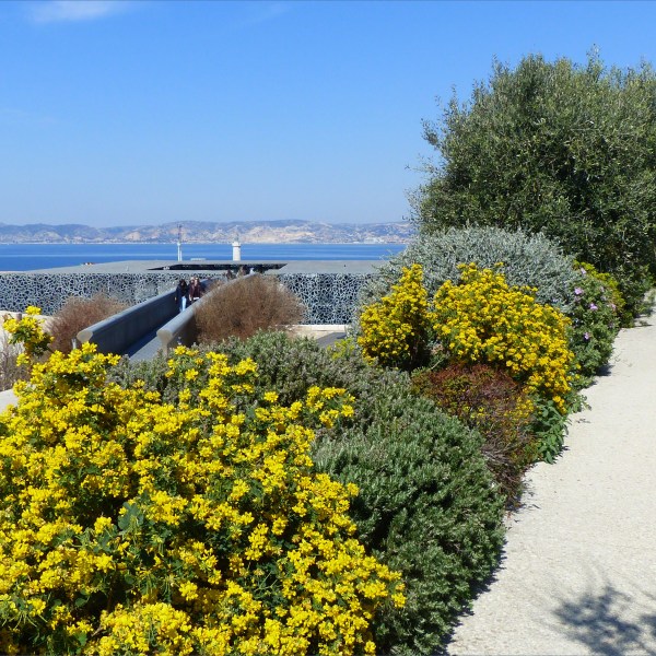 View from a the Garden of Migration at MUCEM overlooking the harbour and coastline on a sunny day