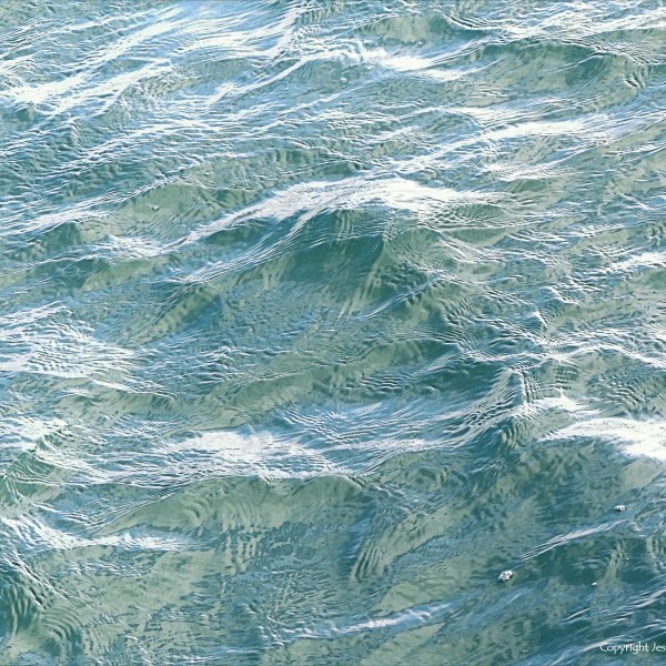 Surface texture of sea water disturbed by a strong breeze