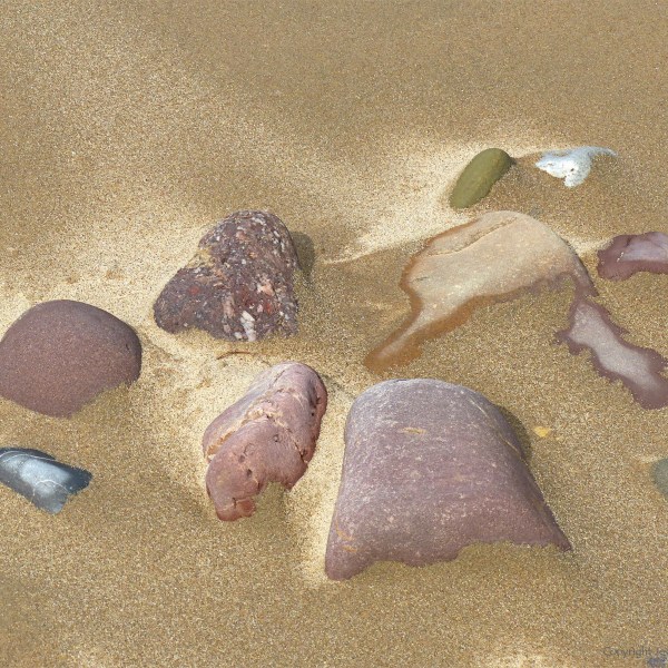 Beach stones and wet compacted sand on the seashore