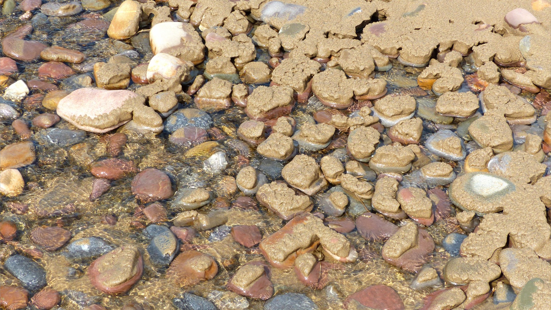A shallow clear beach stream flowing through pebbles and sand