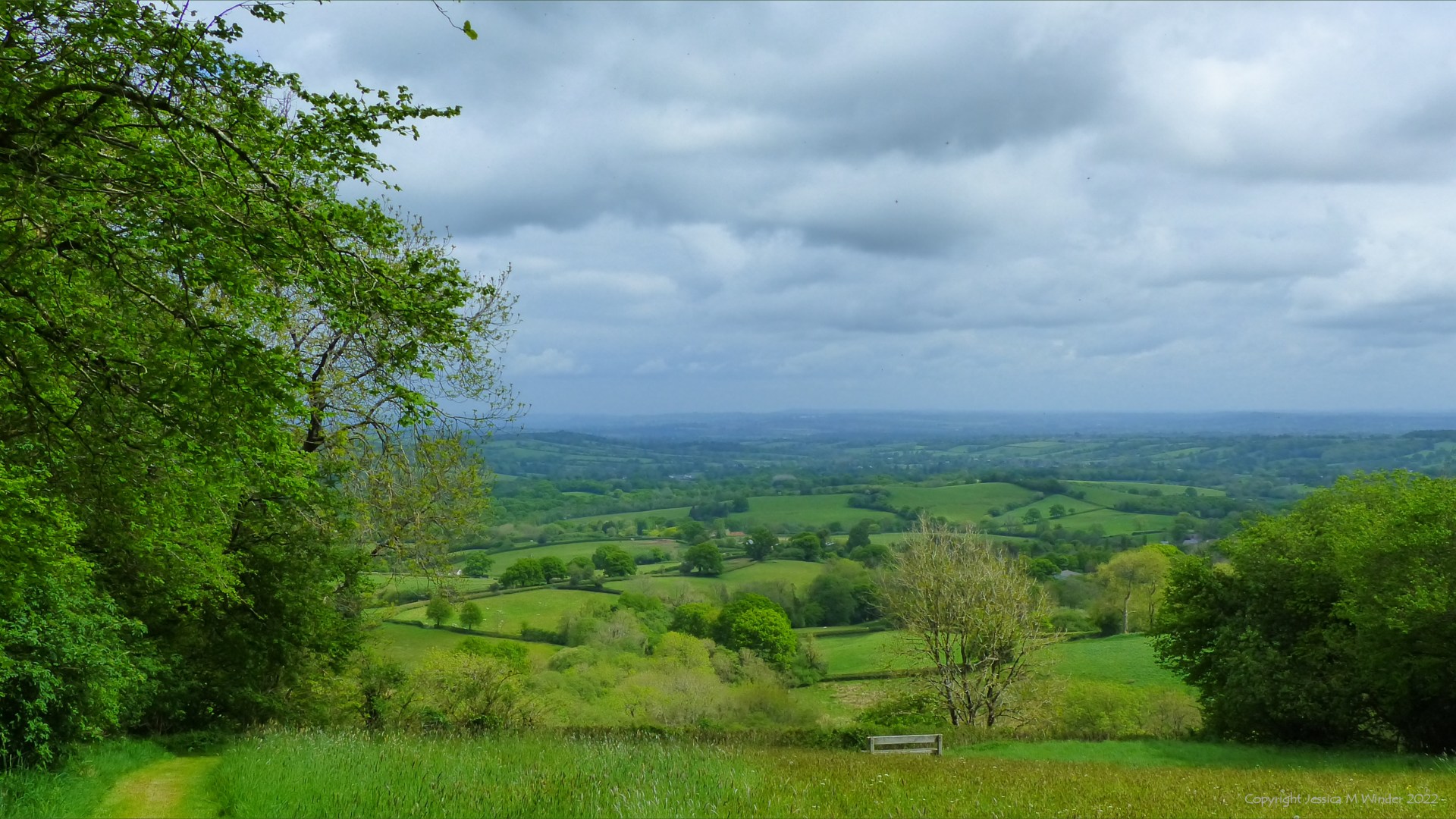 Landscape view of Dorset countryside fields and trees at Higher Ground Meadow