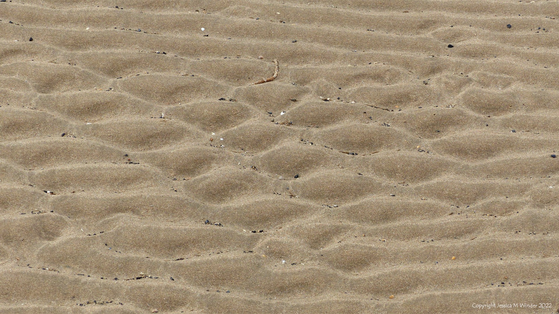 Natural patterns of rippled sand at low tide on the beach