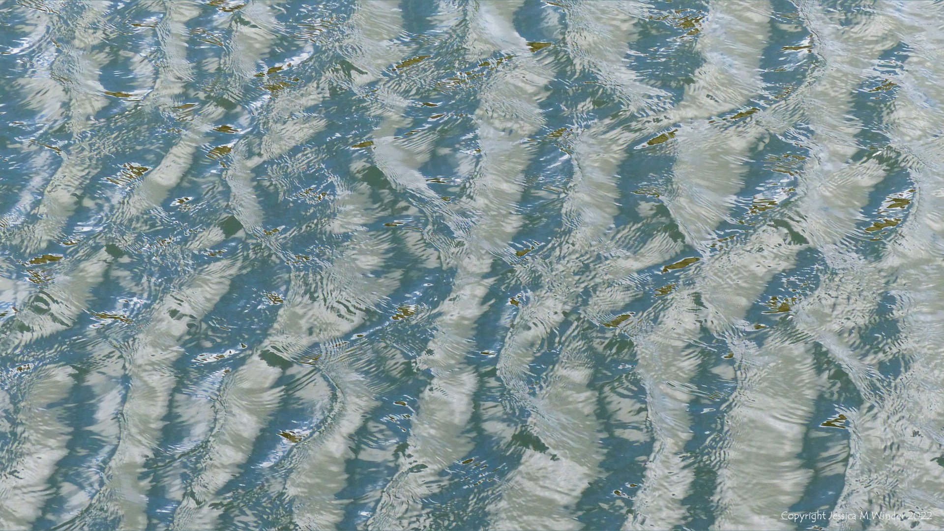 Natural abstract pattern of ripples and reflections on water