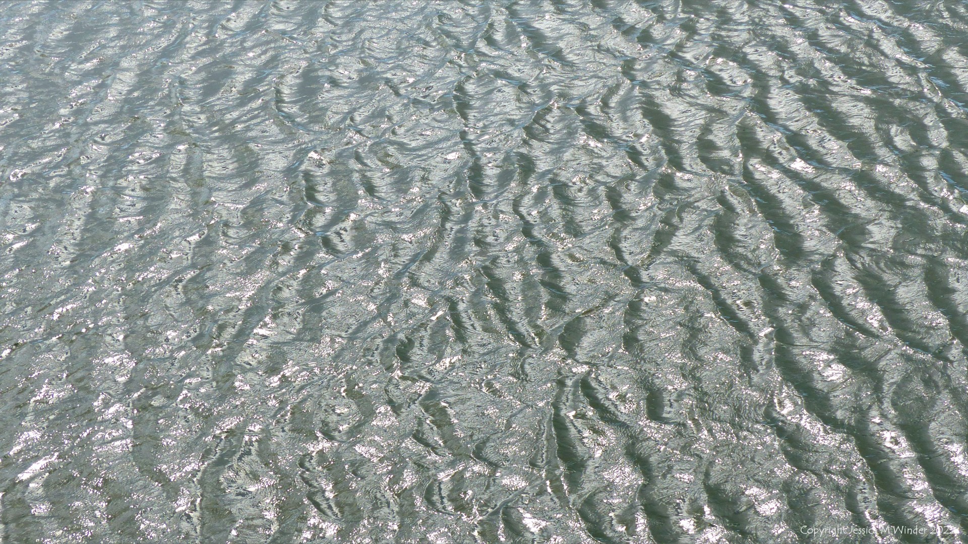Natural pattern and texture of ripples on flowing river water
