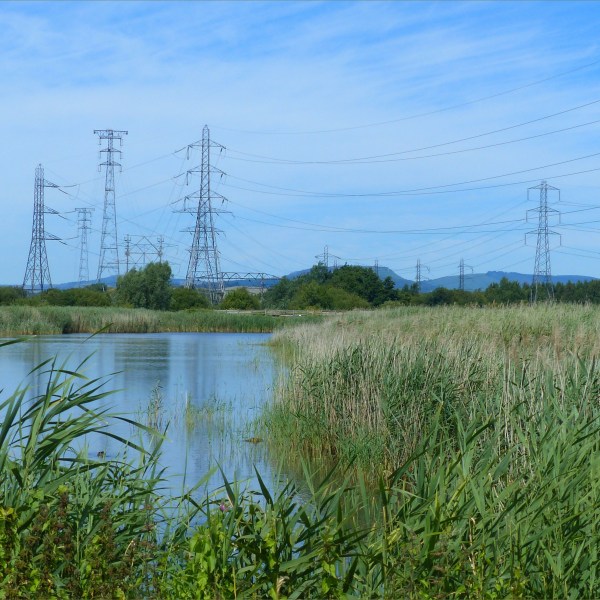 View of water and reed beds with pylons and power station at Newport Wetlands Reserve