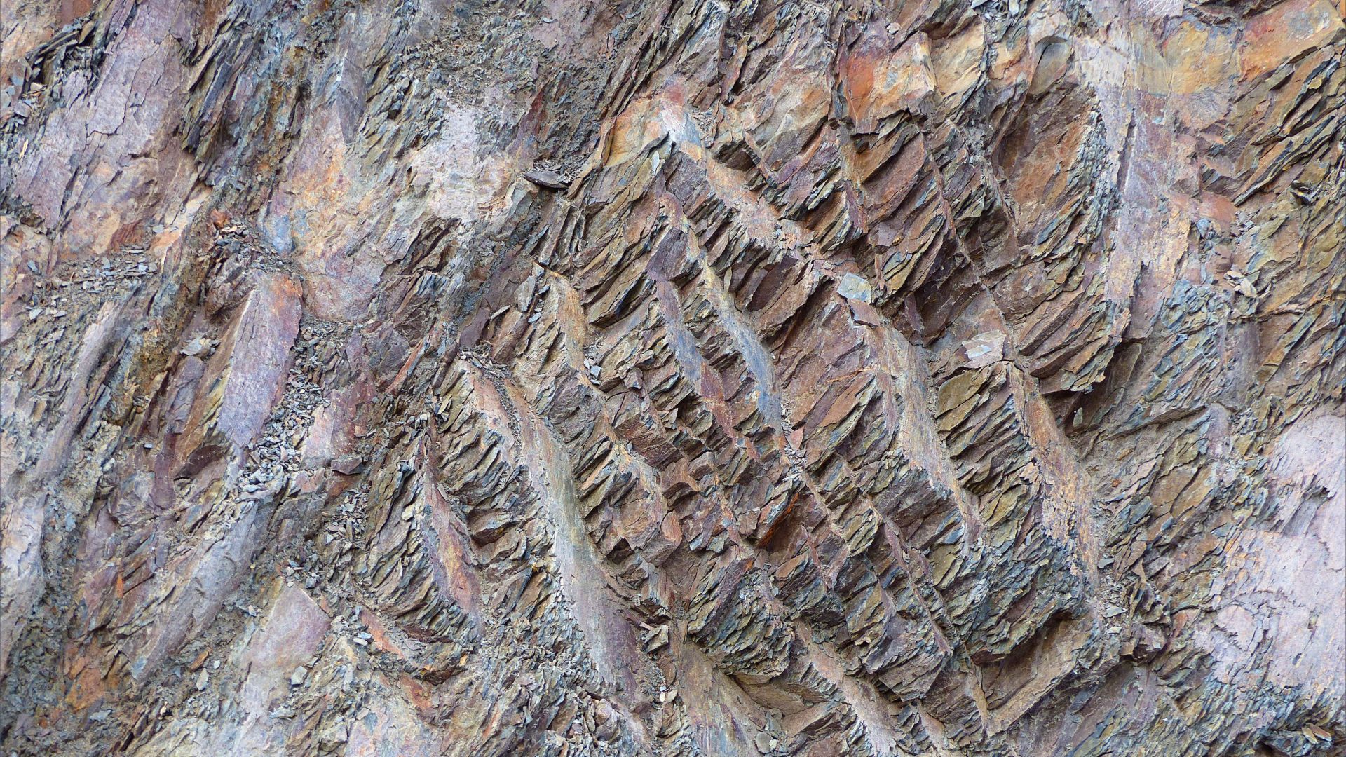 Pattern and texture in mudstone rocks in Nova Scotia