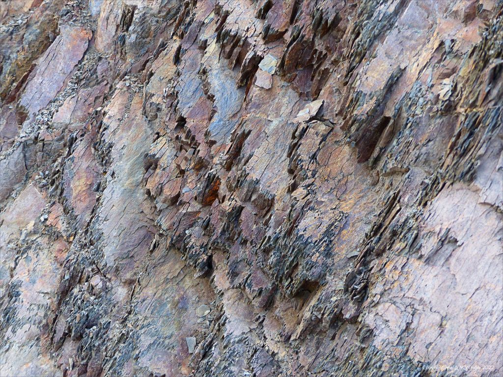 Rock pattern and texture in Silurian mudstone sedimentary rock