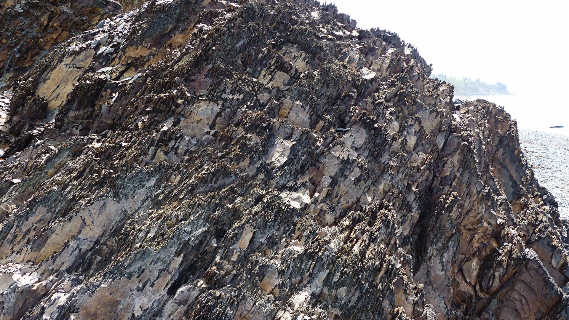 Texture of crumbling mudstone rocks in Nova Scotia