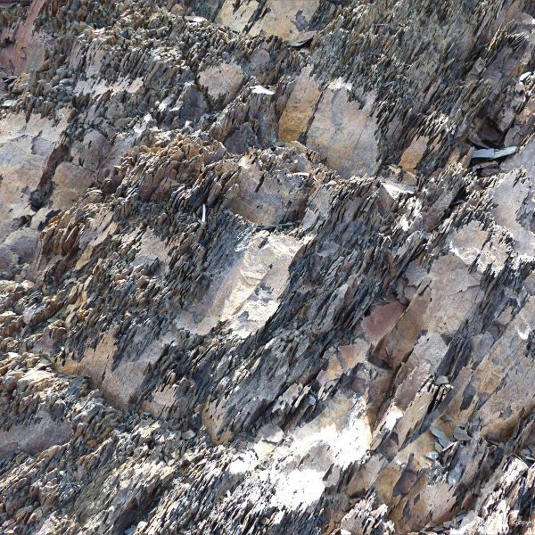 Texture of crumbling Silurian mudstone rocks in Nova Scotia