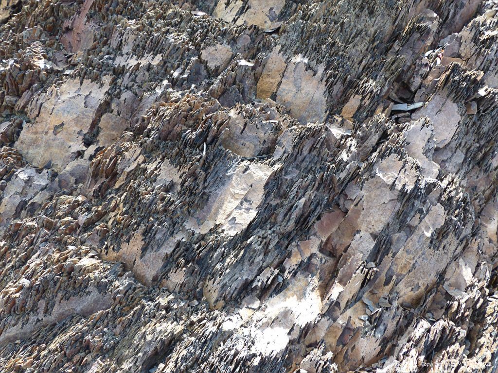 Texture of crumbling Silurian mudstone rocks in Nova Scotia