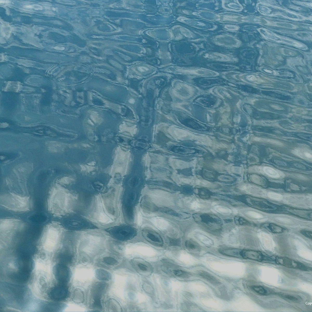 water patterns – Page 2 – Jessica's Nature Blog