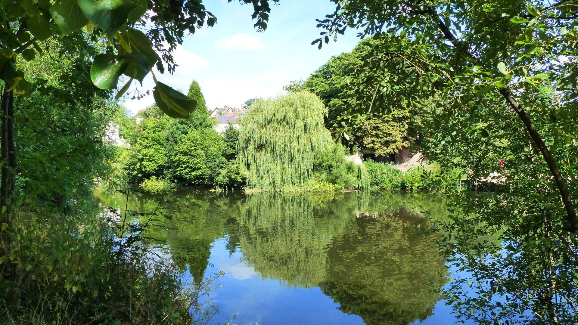 Riverbank trees and their reflections in the water