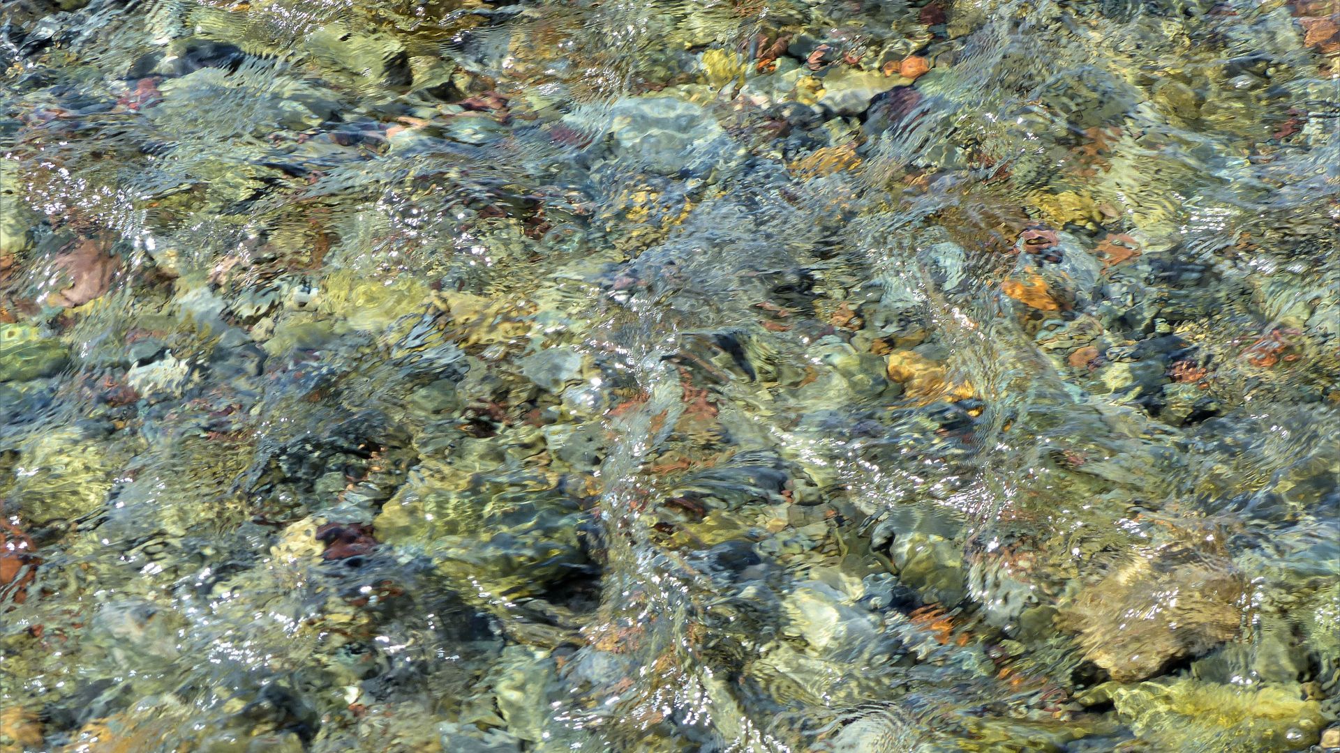 Clear water flowing over coloured pebbles in a beach stream
