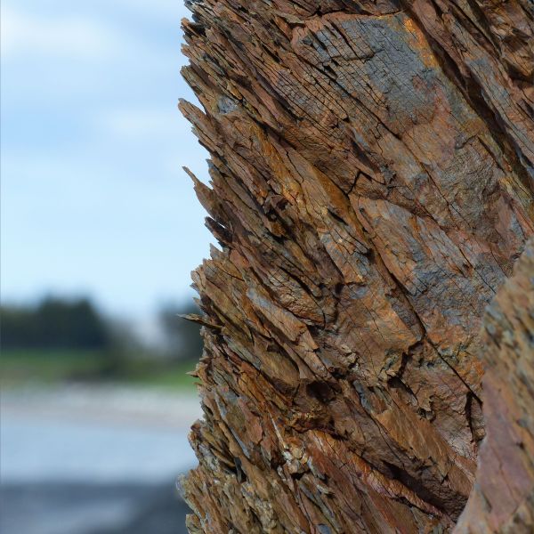 Natural rock pattern and texture in sedimentary Silurian strata