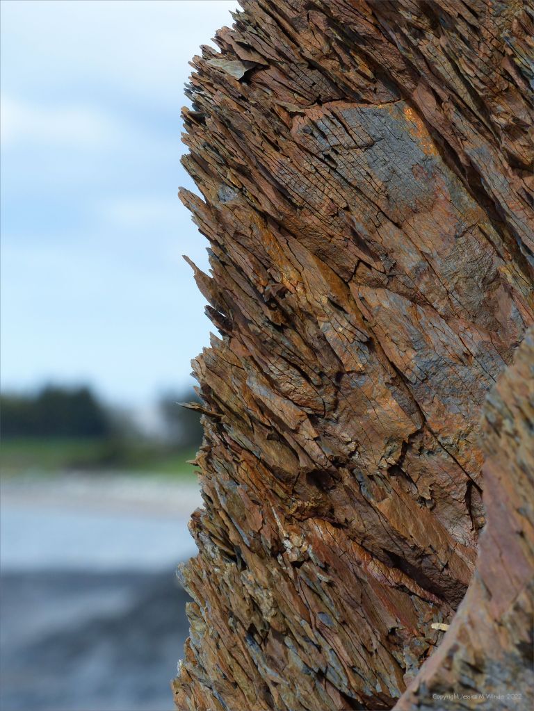 Natural rock pattern and texture in sedimentary Silurian strata