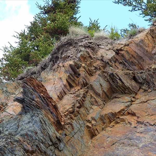 Natural rock pattern and texture in sedimentary Silurian strata